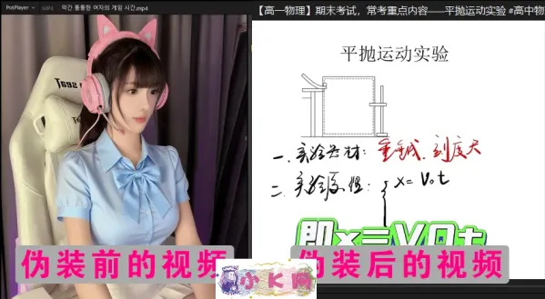 视频伪装大师VideoCamouflageMaster v1.0.0-第19张图片