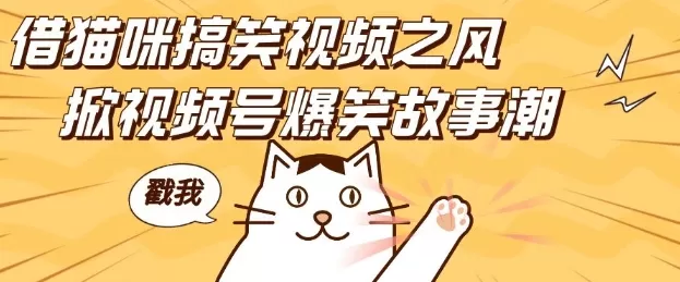借猫咪搞笑视频之风,掀视频号爆笑故事潮,轻松日入四位数,无门槛快速入门!--第18张图片 借猫咪搞笑视频之风,掀视频号爆笑故事潮,轻松日入四位数,无门槛快速入门!--第18张图片
