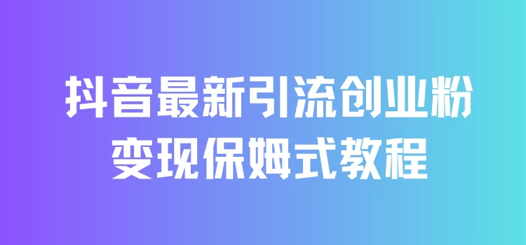 抖音最新引流创业粉+变现保姆式教程 直接无脑套模板即可-资源项目网