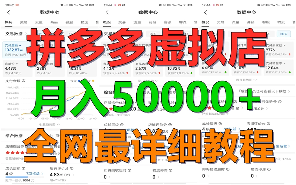 拼多多虚拟电商月入50000+你**也行，暴利稳定长久，副业首选-资源项目网