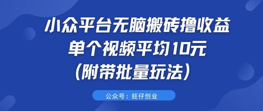 小众平台无脑搬砖撸收益，单个视频平均10元 (附带批量玩法）-资源项目网