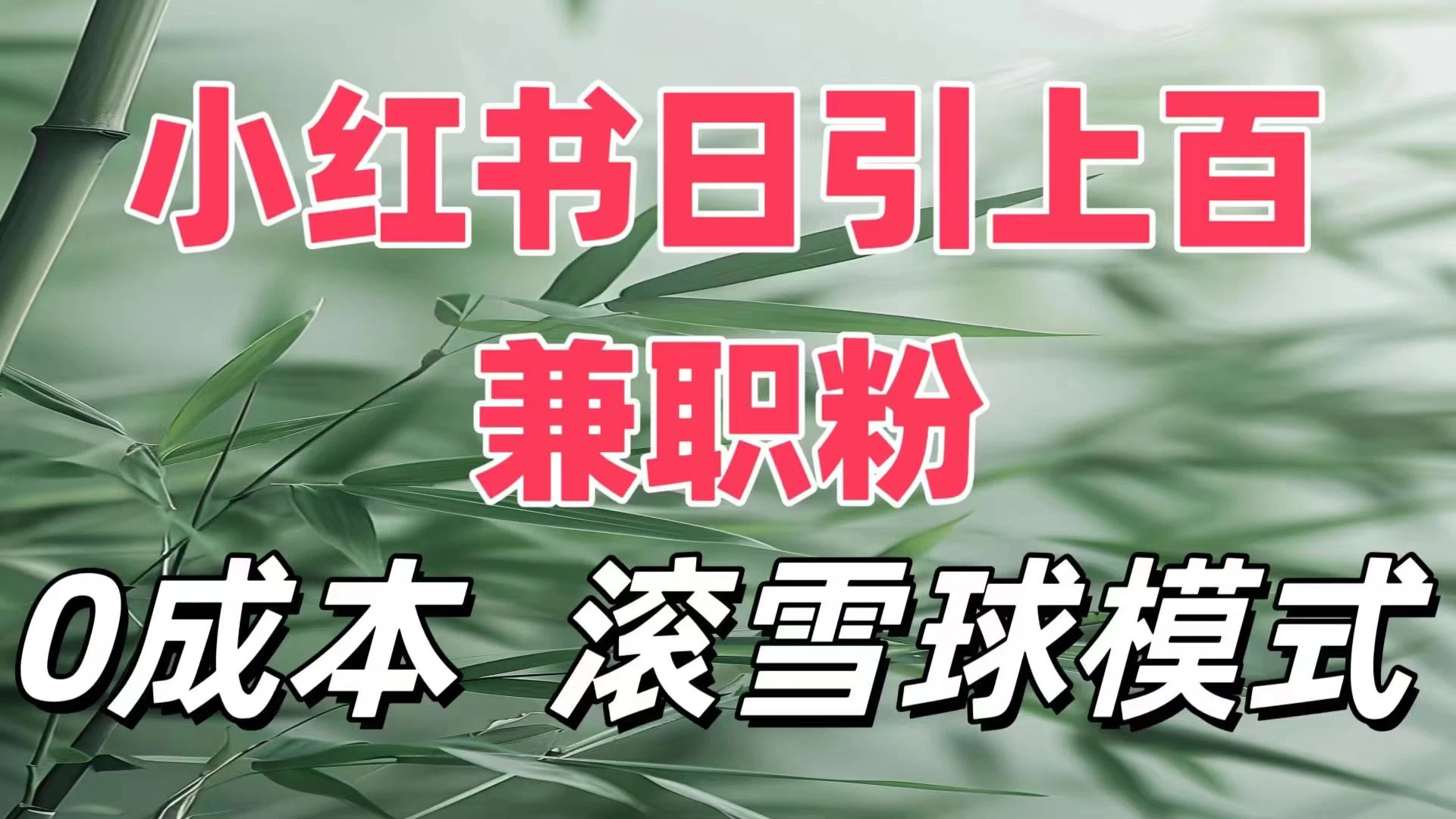 最新小红书引流自热，轻松日引上百精准宝妈创业粉，滚雪球模式，门槛低的新规则玩法-资源项目网