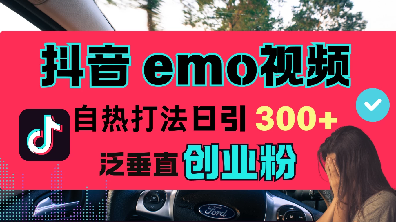 抖音“EMO视频”自热流打法，日引300+泛垂直创业粉-资源项目网
