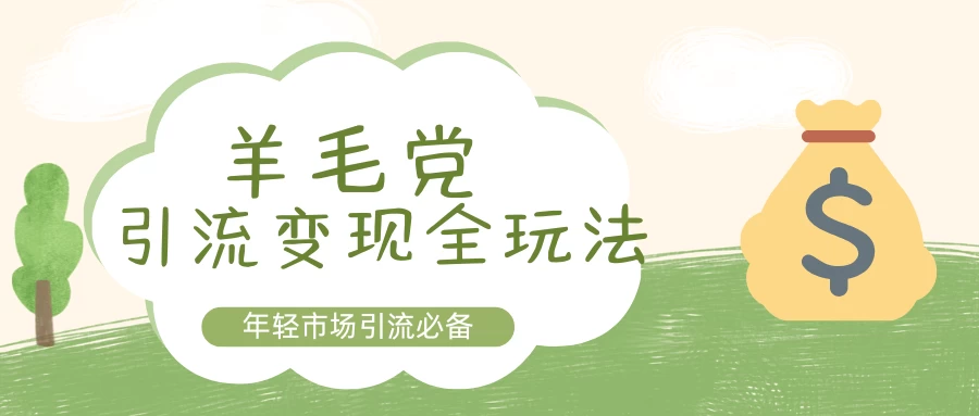 羊毛党引流变现全玩法，玩法完全绿色，流量非常猛-资源项目网