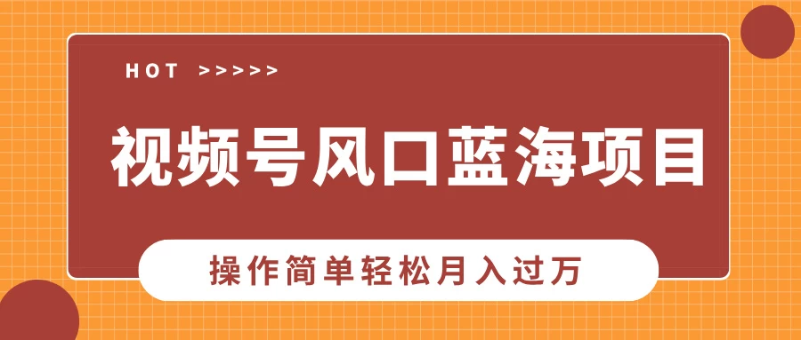 视频号风口蓝海项目，中老年人的流量密码，操作简单轻松月入过万-资源项目网