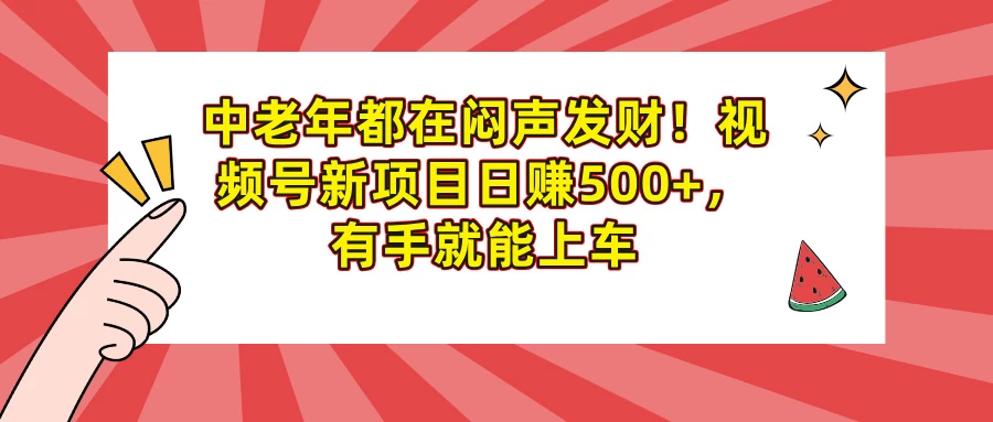 中老年都在闷声发财!视频号新项目日赚500+,有手就能上车-资源项目网