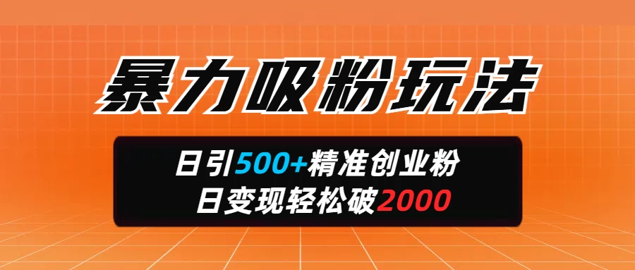 暴力吸粉玩法,日引500+精准创业粉,日变现轻松破2000-资源项目网