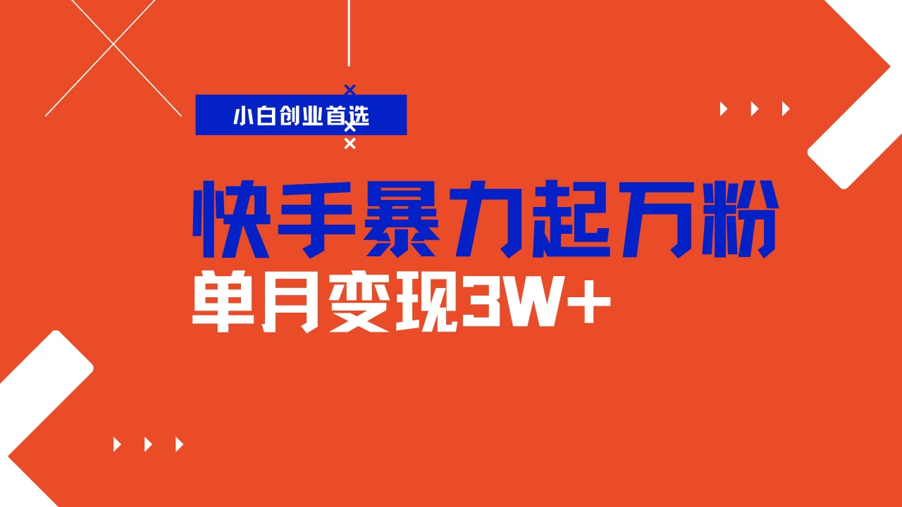 快手起万粉账号,3天一个万粉号,多种变现模式,操作简单无脑复制,小白也能月入过万-资源项目网