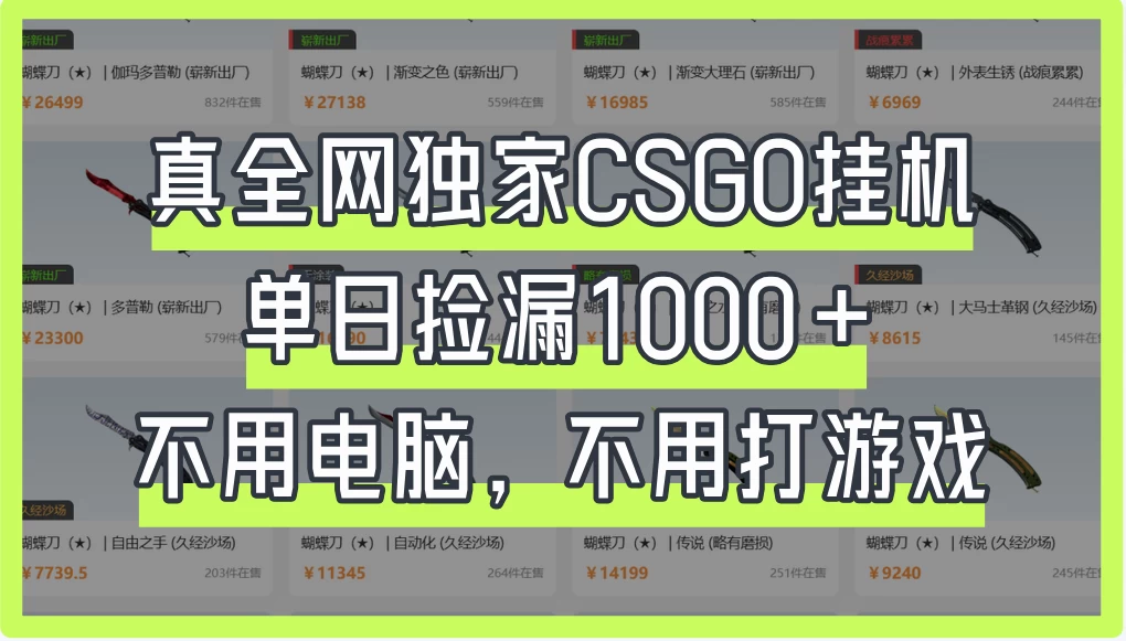 真全网独家CSGO挂机，单日捡漏1000+，不用电脑，不用养号-资源项目网