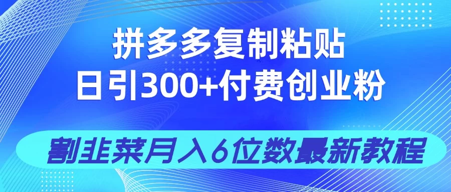 拼多多复制粘贴日引300+付费创业粉,割韭菜月入6位数最新教程!-资源项目网
