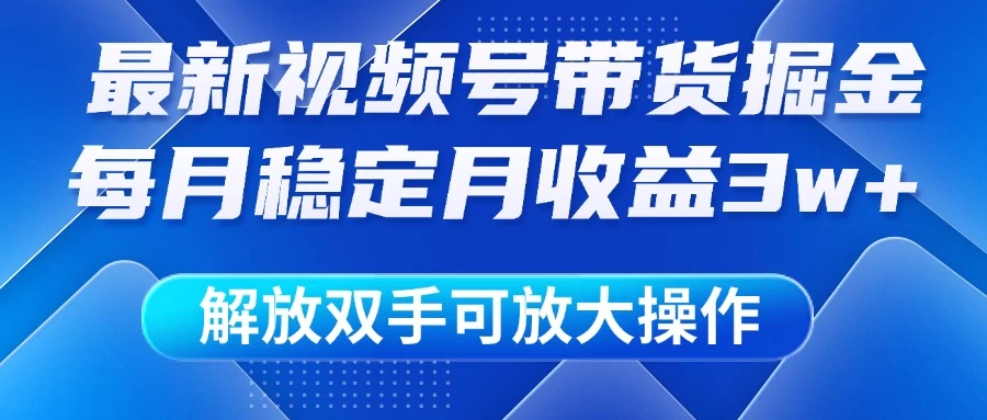最新视频号带货掘金项目,每月稳定月收益3w+,解放双手,可放大操作-资源项目网