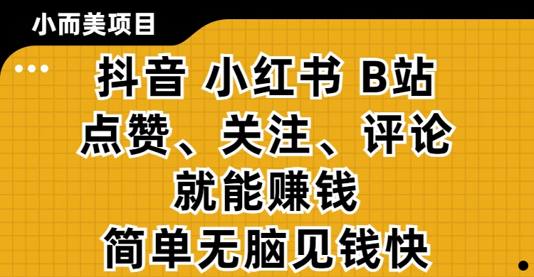 小而美的项目,抖音、小红书、B站视频点赞、关注、评论就能赚钱,简单无脑立见收益!妥妥的零撸项目-资源项目网