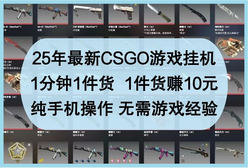 25年最新CSGO游戏挂机,1分钟1件货,1件货赚10元,纯手机操作,无需游戏经验-资源项目网