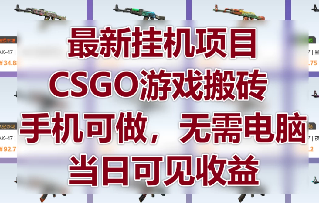 最新挂机项目，CSGO游戏搬砖，手机可做，无需电脑，当日见收益-资源项目网
