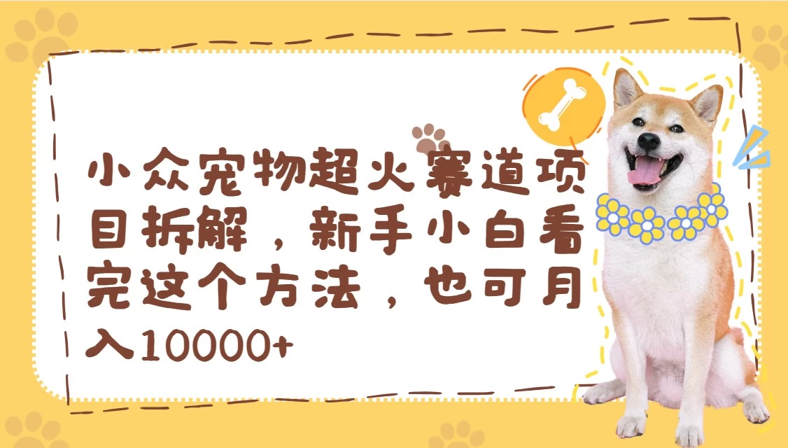 小众宠物超火赛道项目拆解，新手小白看完这个方法，也可月入10000+-资源项目网