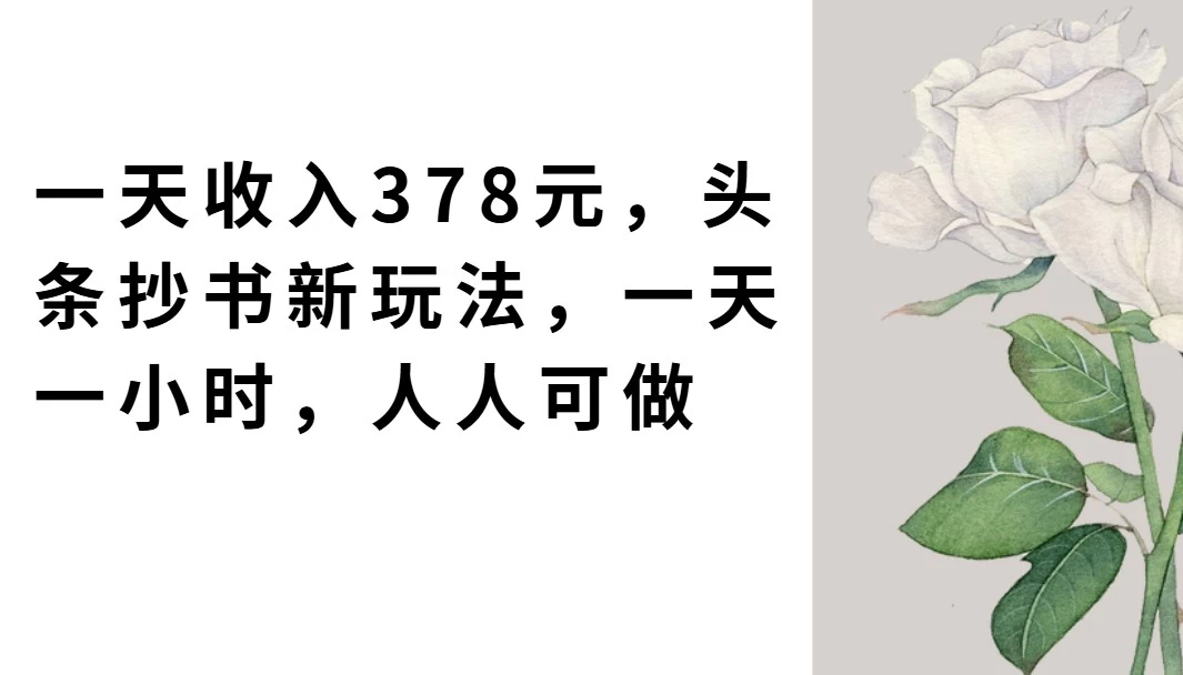 一天收入378元，头条抄书新玩法，一天一小时，人人可做-资源项目网