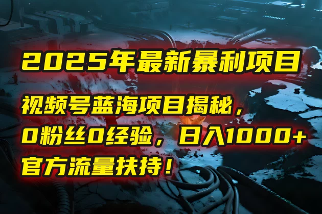 🔥 2025年最新暴利项目:视频号蓝海项目揭秘,0粉丝0经验,日入1000+,官方流量扶持!-资源项目网