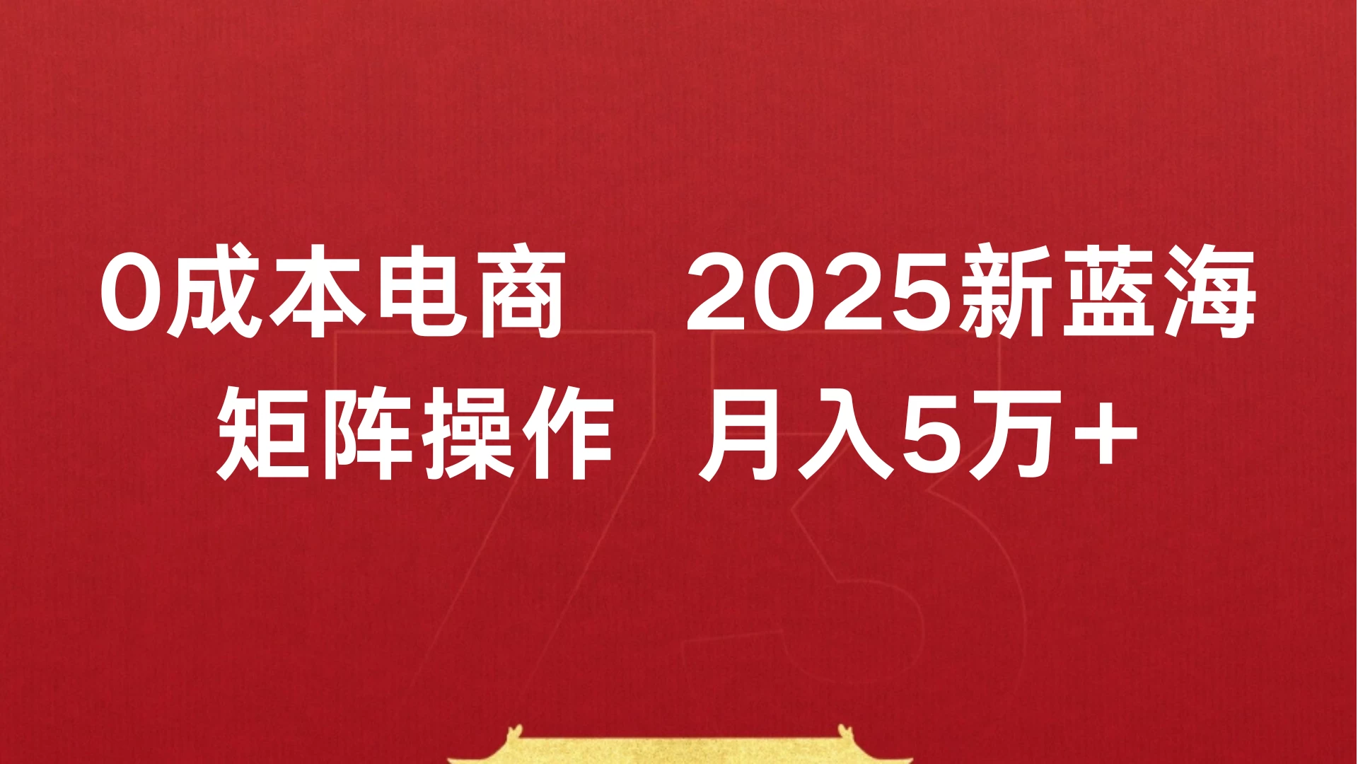 0成本电商2025新蓝海矩阵操作 月入5万+-资源项目网
