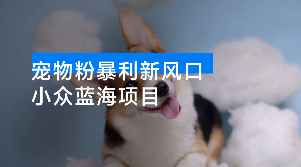 宠物粉暴利新风口 0 基础小白也能靠这套玩法月入过万-资源项目网