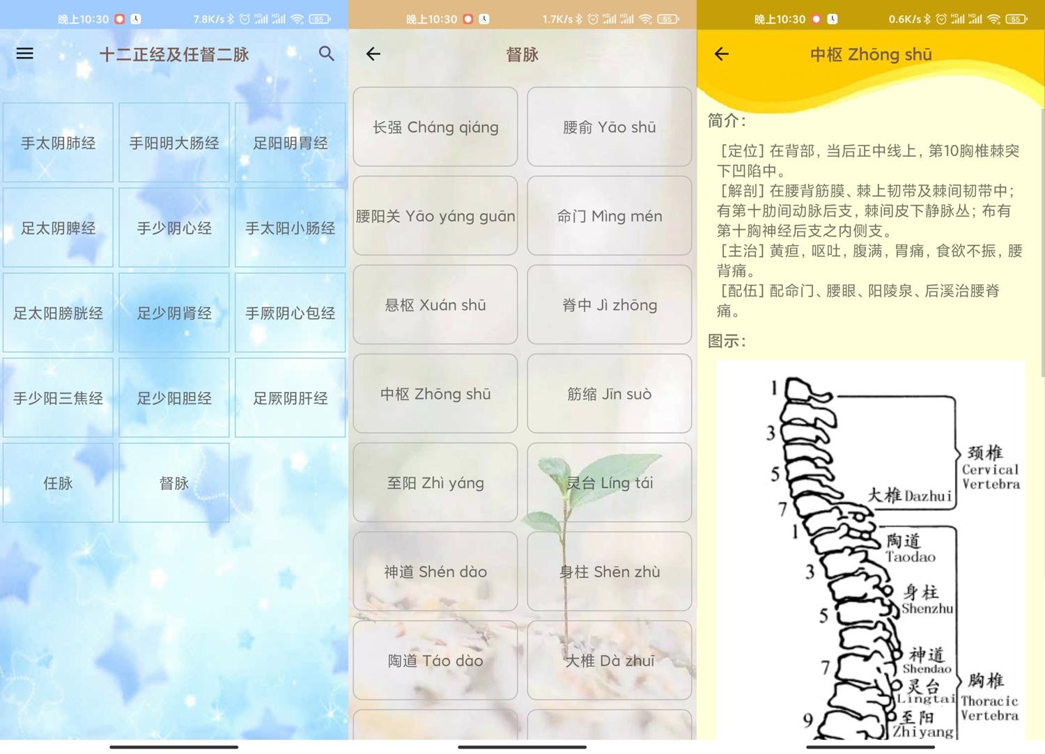 安卓人体穴位图解v3.1.4可离线版-资源项目网