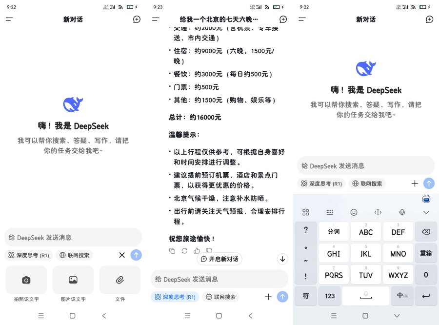 DeepSeeK1.1.5最新升级版满血Ai深度思考-资源项目网