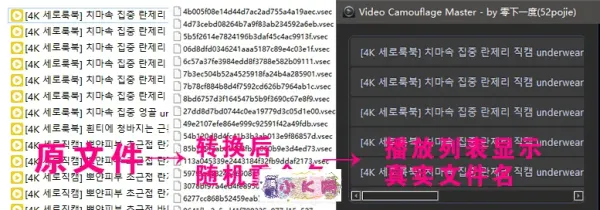 视频伪装大师VideoCamouflageMaster v1.0.0-第18张图片