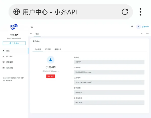 小齐API管理系统源码，提升工作效率的利器-资源项目网