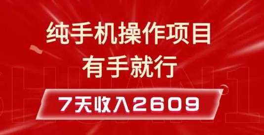纯手机操作的小项目，有手就能做，7天收入2609+实操教程-资源项目网