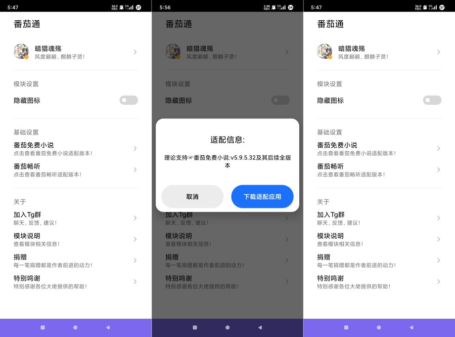 番茄小说1.0.4版，畅听VIP解锁功能，DVD资源网独家提供-资源项目网
