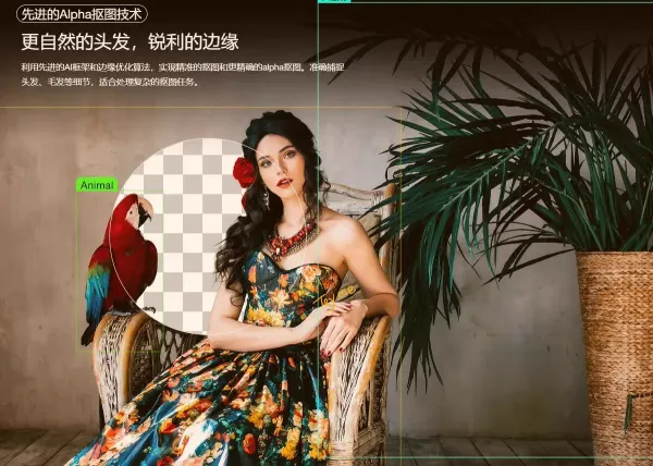 智能抠图 Matting2.6 一键快速抠图 PS 修图影楼设计 AI 抠图工具-第20张图片