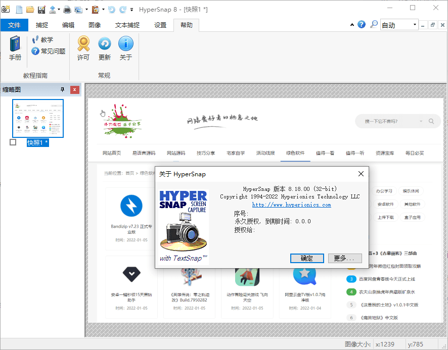 HyperSnap v9.8.0便携汉化版-资源项目网