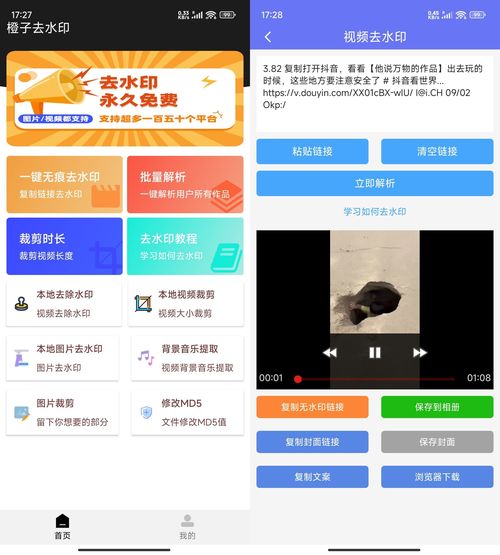 安卓橙子去水印解析多功能 v3.1.15-资源项目网