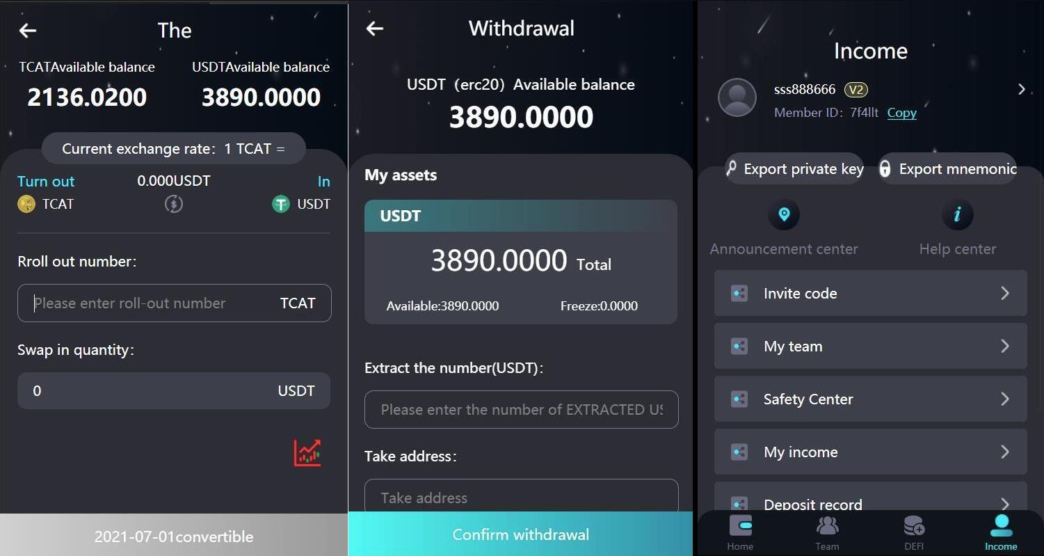 2024 新版H5打包版双语言虚拟系统 USDT支付-资源项目网