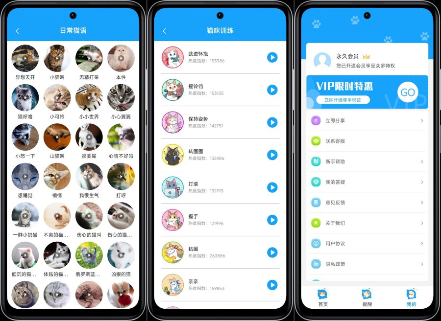 人猫交流神器3.5.7版上线，实现语言互译解锁VIP资源！-资源项目网