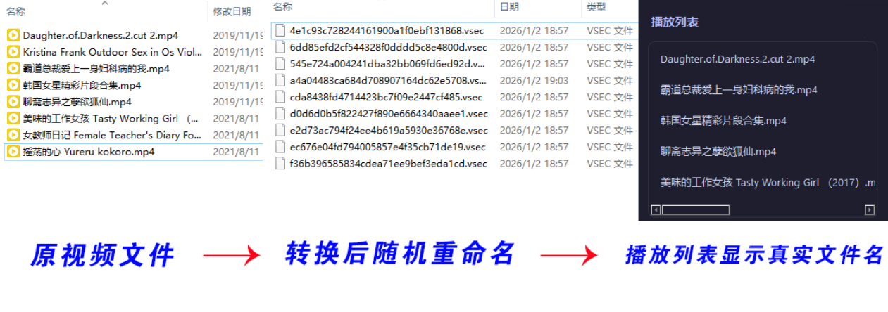 图片[2]-老司机隐私播放器SecureVault Player V0.8.9-资源项目网