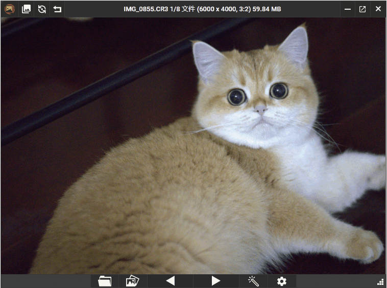 PicView看图工具v3.1.5中文版--第6张图片 PicView看图工具v3.1.5中文版--第6张图片