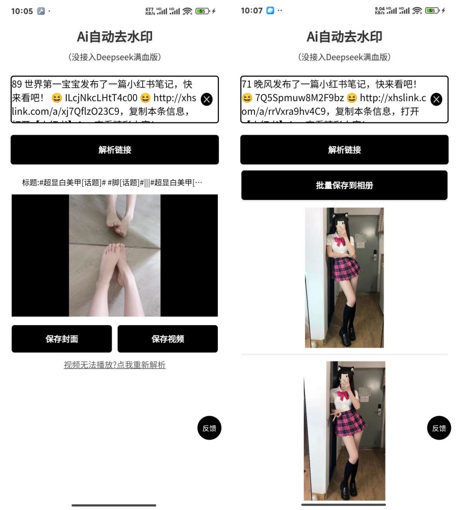 Ai自动去水印-没加入Deepseek满血版-资源项目网