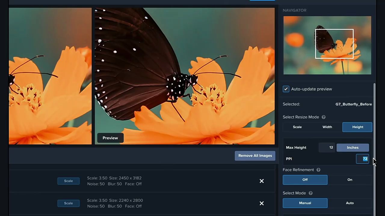 图片无损放大Topaz Gigapixel AI-资源项目网