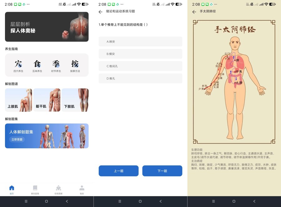 人体解剖图集1.0.2高清详解-资源项目网