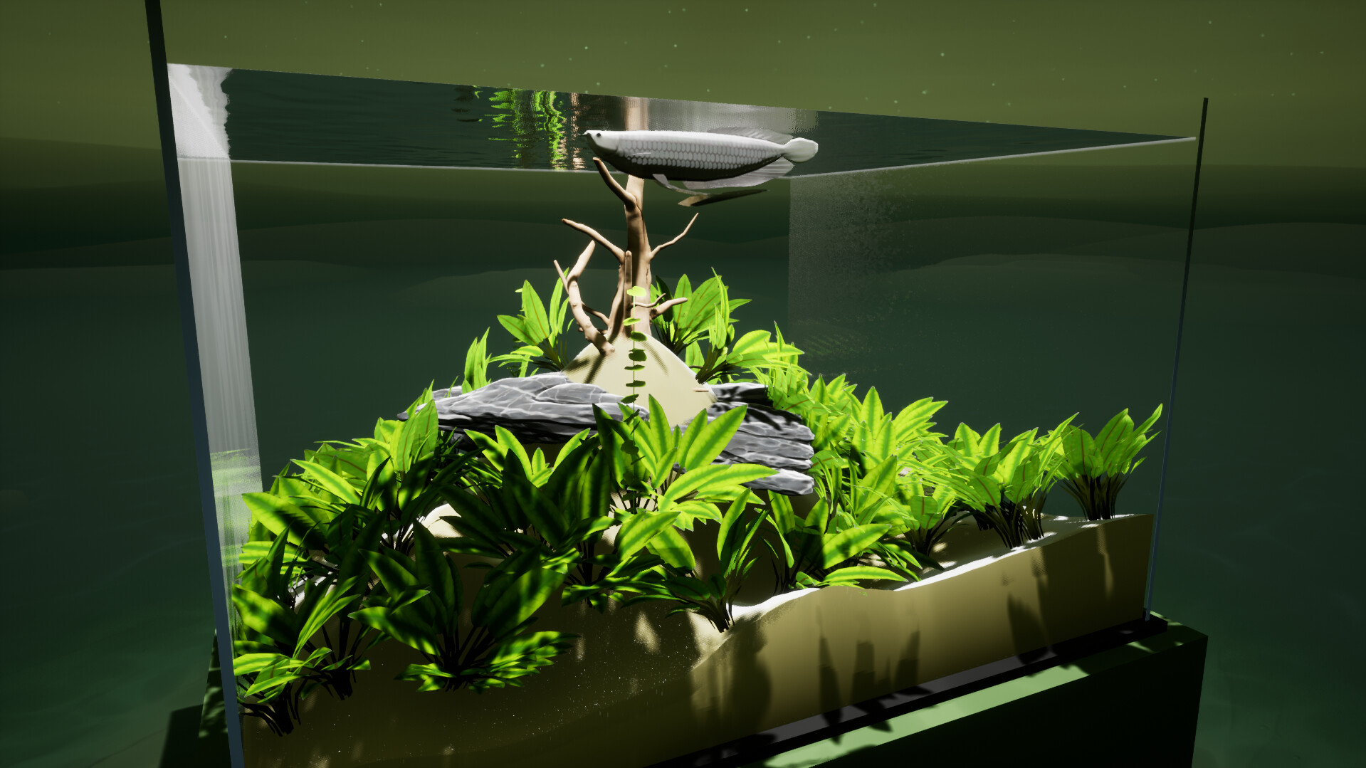 《养鱼模拟器》v00.03.24中文版-资源项目网