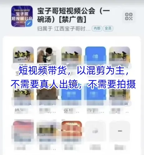 宝子哥头部团队短视频带货，混剪为主，无需真人出镜【更新至2026年1月】-资源项目网