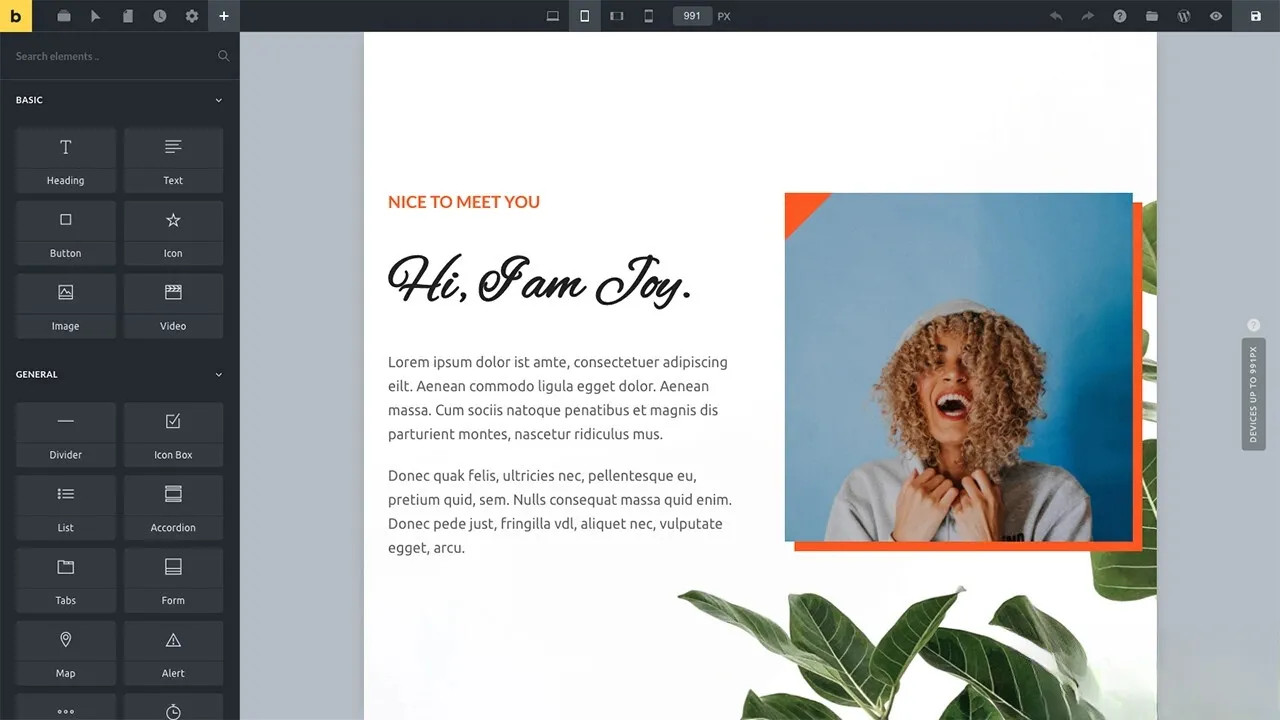 WordPress主题Bricks v1.9 破解版：免费下载与安装指南-资源项目网