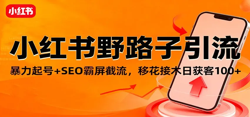 小红书野路子引流技巧:暴力起号+SEO霸屏截流,日增客流量100+-资源项目网