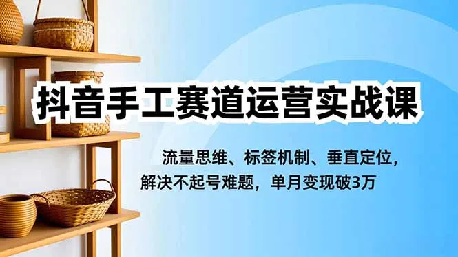 抖音手工赛道运营实战课：流量思维、标签机制、垂直定位，单月变现破3万-资源项目网