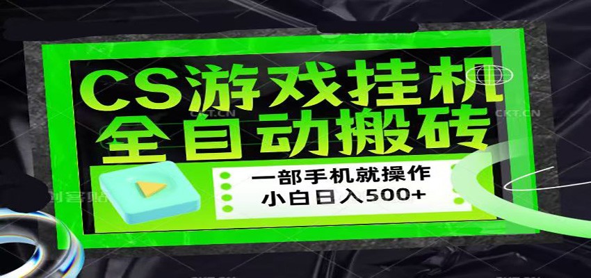CSGO游戏挂机捡漏搬砖：稳定项目，带领小白日入500+-资源项目网