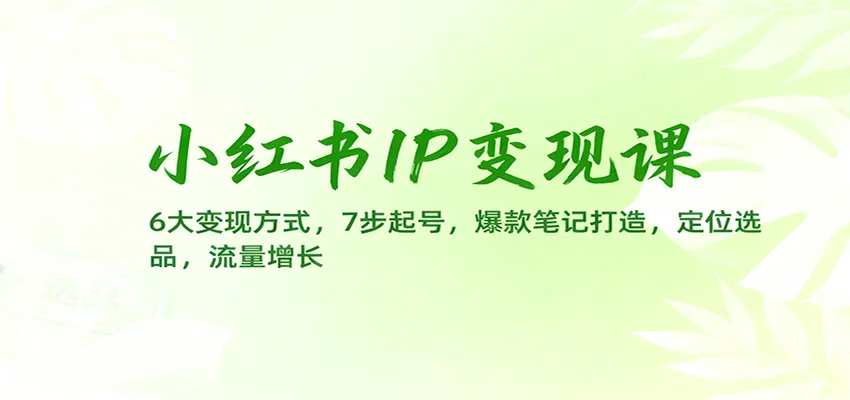 小红书IP变现课程:6大变现策略,7步起号技巧,爆款笔记打造,精准定位选品,流量增长秘籍-资源项目网