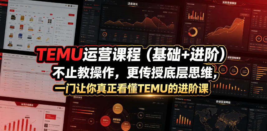 TEMU运营课程：从基础到进阶，掌握核心思维，助你深入理解TEMU操作-资源项目网