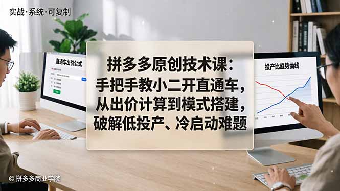拼多多直通车技术教程：手把手教你开，从出价到模式搭建，解决低投产、冷启动问题-资源项目网