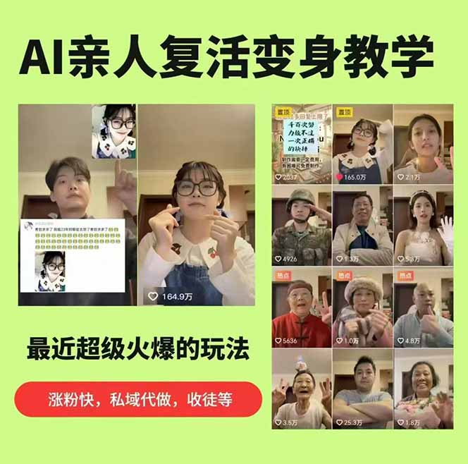 图片[2]-制作爆款AI视频教程：亲人复活与人物替换技巧，轻松获得数万点赞-资源项目网