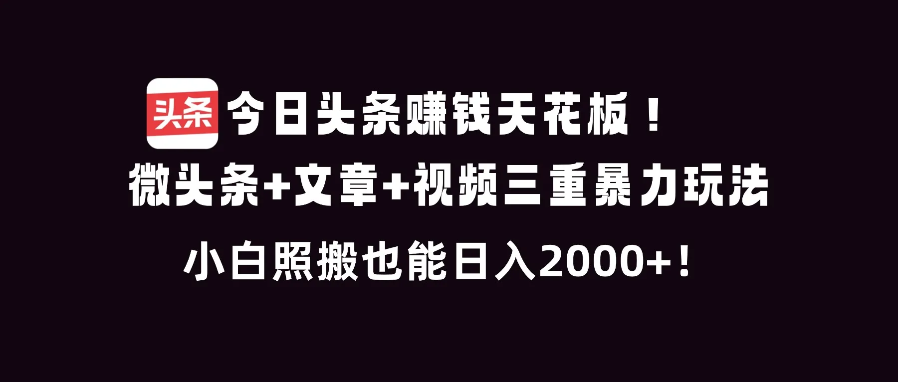 今日头条赚钱新策略：微头条、文章、视频三重盈利模式，小白也能日赚2000+-资源项目网